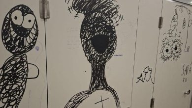 foto:-toalete-vandalizate-in-parcul-substejeris-din-targu-mures