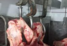 anpc-a-aplicat-amenzi-de-aproape-patru-milioane-de-lei