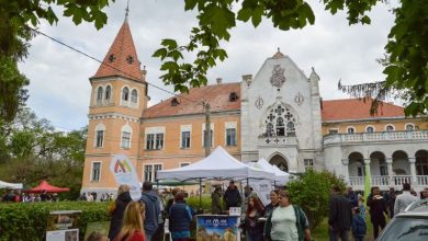 festivalul-bujorului,-la-zau-de-campie
