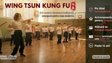 ”antrenament-kung-fu-pentru-incepatori”,-la-targu-mures