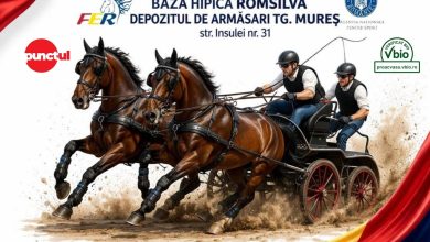 targu-mures-gazduieste-cupa-romaniei-la-atelaje-cu-2-cai,-in-perioada-17–19-aprilie-2026