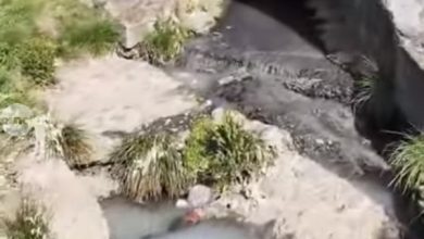 poluare-pe-raul-mures-in-zona-aleea-carpati