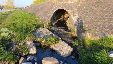 mobilizare-rapida-pentru-protejarea-apelor-muresului,-dupa-o-sesizare-privind-poluarea-pe-punctul.ro