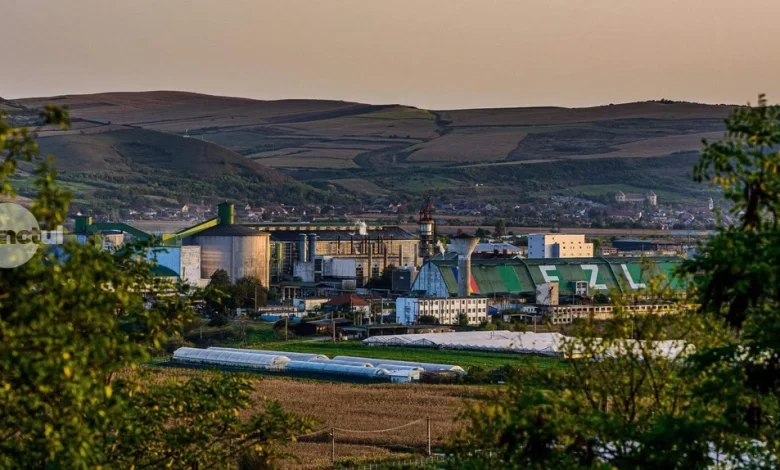 cel-mai-bun-an-financiar-al-fabricii-de-zahar-din-ludus-de-la-preluarea-de-catre-mihaela-neagu