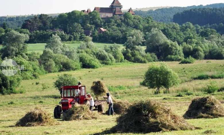 program-pilot-de-acordare-a-200-de-euro-pe-hectar-la-apold-pentru-pastrarea-biodiversitatii-fanetelor