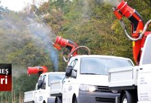 substante-impotriva-insectelor,-in-tot-orasul:-dezinsectie-pe-timp-de-noapte-in-targu-mures!