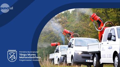 azi-incepe-dezinsectia-la-targu-mures