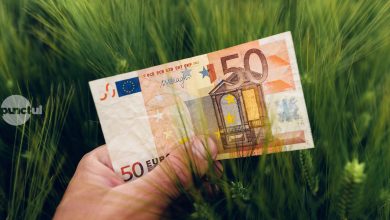 modificare-pentru-salariul-minim-din-sectorul-agricol:-va-fi-corelat-cu-salariul-de-baza-minim-brut-pe-tara