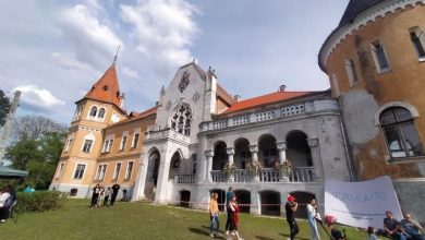 festivalul-bujorului-la-castel,-la-zau-de-campie.-programul-evenimentului