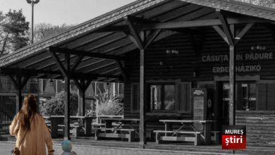 administratia-soos,-„nota-de-plata”-din-bani-publici-pentru-esecul-de-la-gradina-zoologica.-dan-masca:-„sa-va-fie-rusine!”