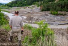 ministrul-economiei:-salrom-este-un-exemplu-de-neasumare-a-consecintelor