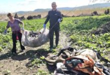 impreuna-curatam,-o-campanie-a-radio-romania-tgmures.-am-colectat-6-tone-de-deseuri-de-pe-malul-muresului