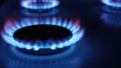 sistare-de-gaze-naturale-in-localitatea-berghia