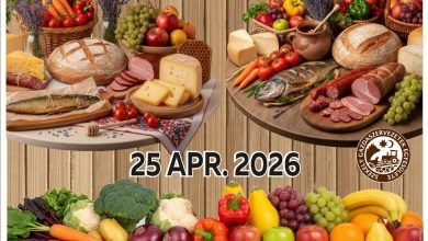 targul-traditional-de-primavara-–-25-aprilie,-piata-cuza-voda