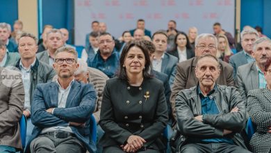 dumitrita-gliga:-psd-isi-retrage-sprijinul-politic-pentru-premierul-ilie-bolojan
