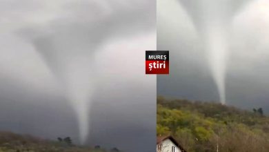 video.-fenomen-neobisnuit-in-mures:-„palnie”-uriasa-filmata-in-localitatea-raciu!