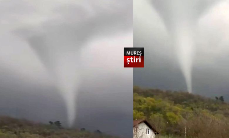 video.-fenomen-neobisnuit-in-mures:-„palnie”-uriasa-filmata-in-localitatea-raciu!