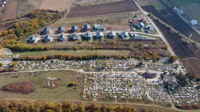 puz-ul-pentru-un-nou-cimitir-in-vecinatatea-cimitirului-remetea-intra-in-dezbatere-publica