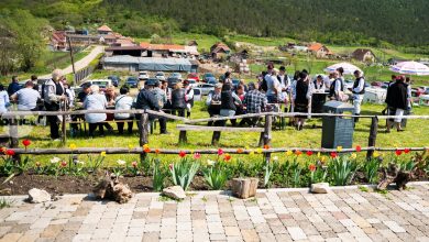 laleaua-pestrita-de-grindeni,-la-a-cincea-editie