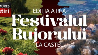 incepe-festivalul-bujorului-la-castel-2026!