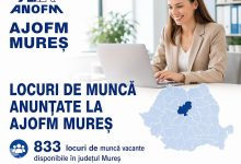 833-locuri-de-munca-vacante-la-nivelul-judetului-mures