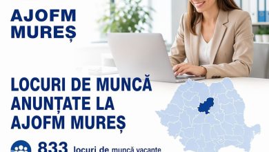 833-locuri-de-munca-vacante-la-nivelul-judetului-mures