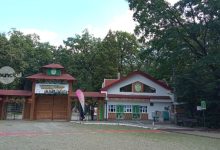 gradina-zoo-va-fi-la-noaptea-muzeelor,-cu-tarife-promotionale