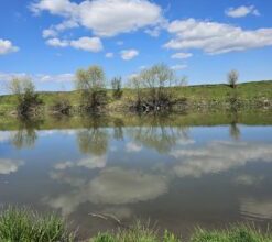 ziua-pamantului,-sarbatorita-de-radio-romania-tg.-mures