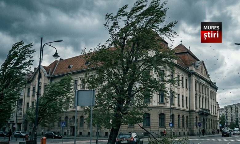 alerta-meteo:-cod-galben-de-vant-puternic-in-judetul-mures!