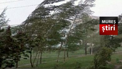 cod-galben-de-vant-puternic-in-mures:-rafale-de-pana-la-90-km/h!