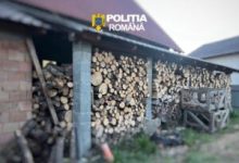 doi-barbati-din-eremitu,-retinuti-pentru-infractiuni-din-domeniul-silvic