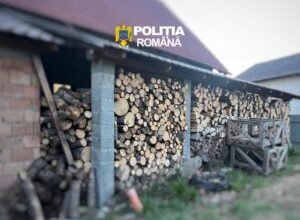 doi-barbati-din-eremitu,-retinuti-pentru-infractiuni-din-domeniul-silvic