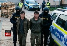 foto.-descindere-de-amploare-in-mures:-23-de-perchezitii-intr-un-dosar-de-taieri-ilegale-de-arbori!