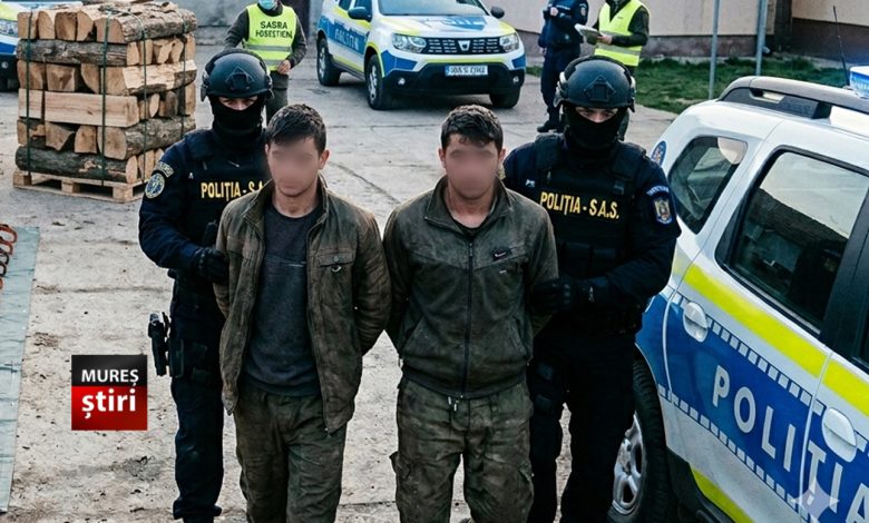 foto.-descindere-de-amploare-in-mures:-23-de-perchezitii-intr-un-dosar-de-taieri-ilegale-de-arbori!