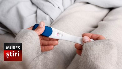 guvernul-prelungeste-programul-fiv:-cine-primeste-pana-la-15.000-lei-in-2026