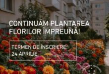 peste-100-de-comunitati-de-locatari-s-au-inscris-in-programul-de-infrumusetare-urbana-derulat-de-primaria-miercurea-ciuc