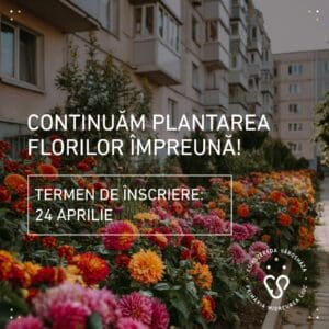 peste-100-de-comunitati-de-locatari-s-au-inscris-in-programul-de-infrumusetare-urbana-derulat-de-primaria-miercurea-ciuc