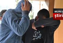 13-kilograme-de-cannabis,-„livrate”-prin-curier:-doi-mureseni,-arestati-pentru-trafic-international-de-droguri!