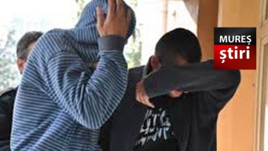 13-kilograme-de-cannabis,-„livrate”-prin-curier:-doi-mureseni,-arestati-pentru-trafic-international-de-droguri!