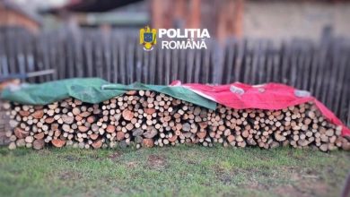 perchezitii-in-trei-localitati-muresene-intr-un-dosar-penal-pentru-infractiuni-din-domeniul-silvic
