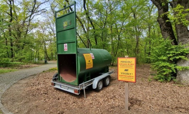 urs-matur-semnalat-in-zona-platoului-cornesti-din-targu-mures