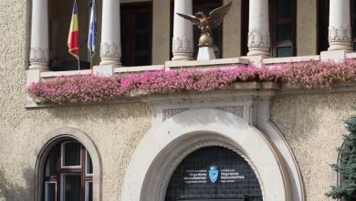 regulament-nou-pentru-autorizarea-activitatilor-de-jocuri-de-noroc,-aprobat-de-consiliul-local
