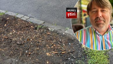 „minunea”-din-piata-republicii:-masca-lauda-administratia-pentru-o-reusita-dupa-15-ani-de-asteptare!