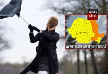 alerta-meteo:-cod-galben-de-vant-puternic-pe-tot-parcursul-zilei!