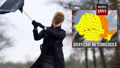 alerta-meteo:-cod-galben-de-vant-puternic-pe-tot-parcursul-zilei!