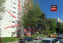 interventie-de-urgenta-pe-strada-gheorghe-doja:-copac-urias-in-pericol-de-cadere!