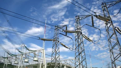 80.000-mw-rezervati-in-reteaua-electrica-a-romaniei,-dar-trei-sferturi-dintre-firme-au-0-angajati-si-cifra-de-afaceri