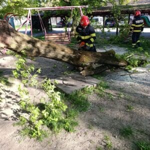 mures:-copaci-in-pericol-de-cadere-din-cauza-vantului-puternic