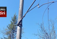 foto.-vantul-a-blocat-trenurile-intre-toplita-si-rastolita:-copaci-cazuti-pe-linie!