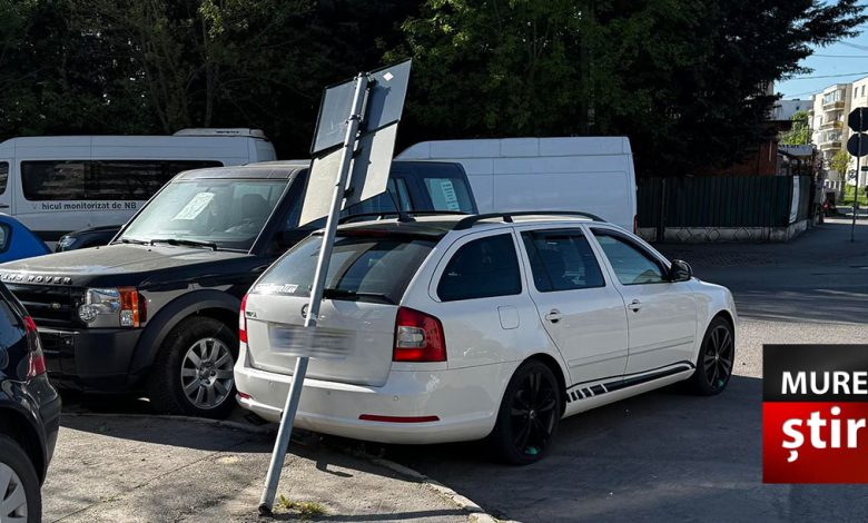 foto.-vremea-a-facut-ravagii!-interventii-in-lant-in-targu-mures-si-in-judet